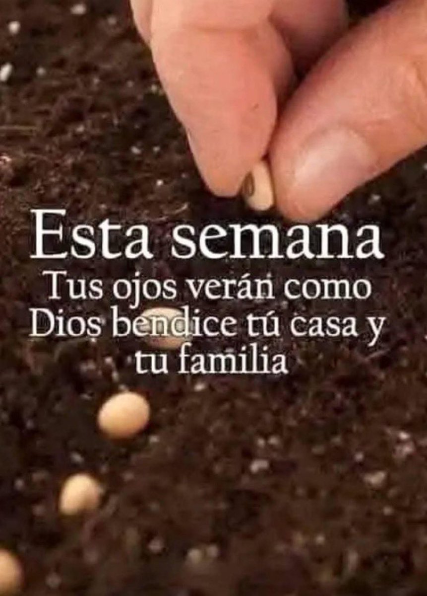 Oración Diaria®⚓️ tweet media