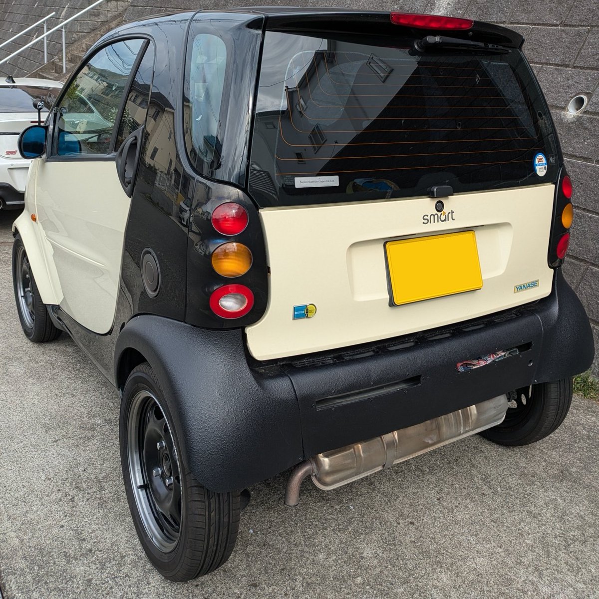 snow@ZD8 tweet media