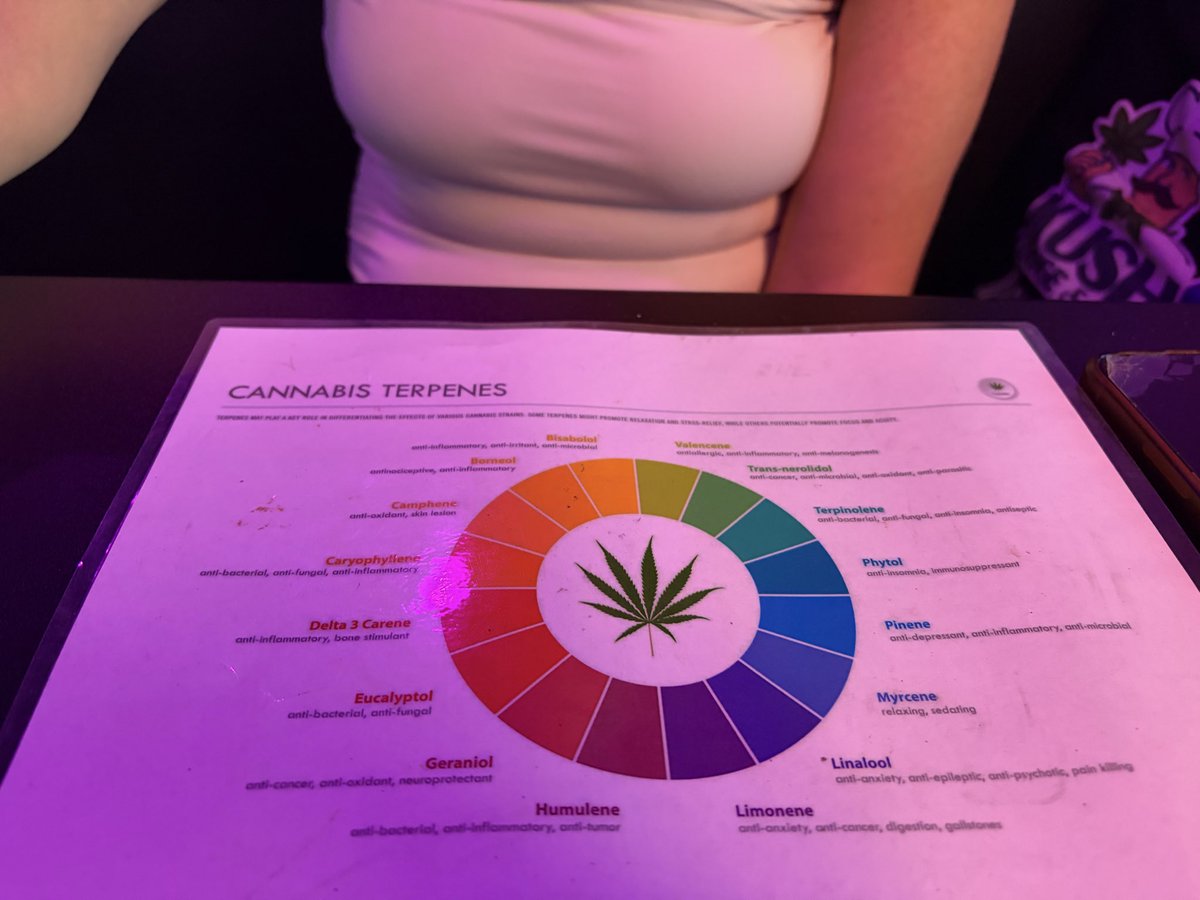 onlyamanda420's tweet photo. Happy 420 https://t.co/bThhO3sTnO