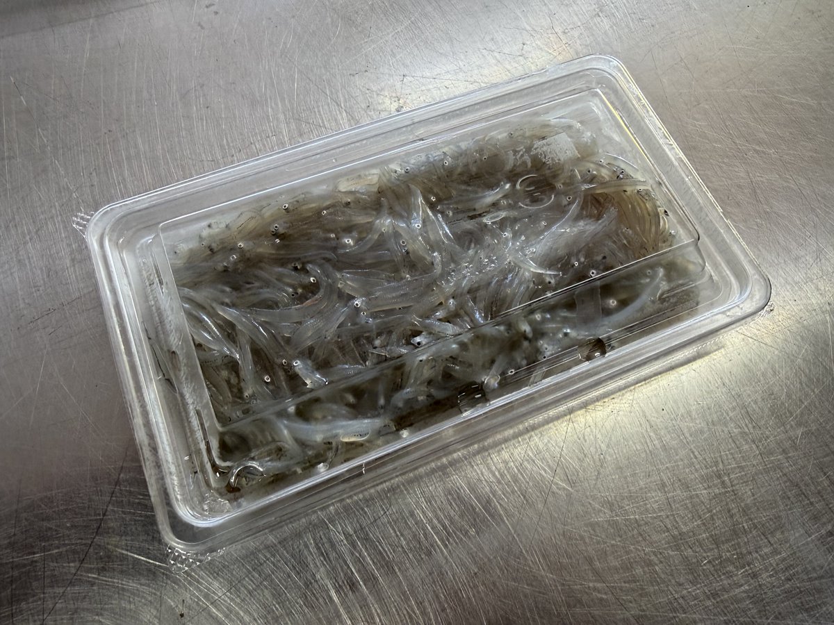 おはようございます☔️
雨降ってきてしまいましたね😩
昨日の生しらす、釜揚げしらす絶賛販売中です🐟お酒のつまみに、料理の一品にいかがでしょうかー？
お待ちしております🙇‍♂️
#大洗　#しらす　#生シラス　#ガルパン　#garupan