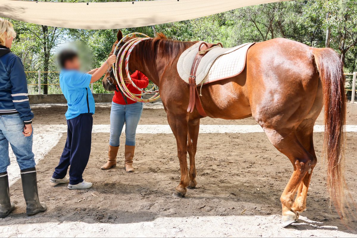 Centro Poblano de Salud Mental Integral tweet media