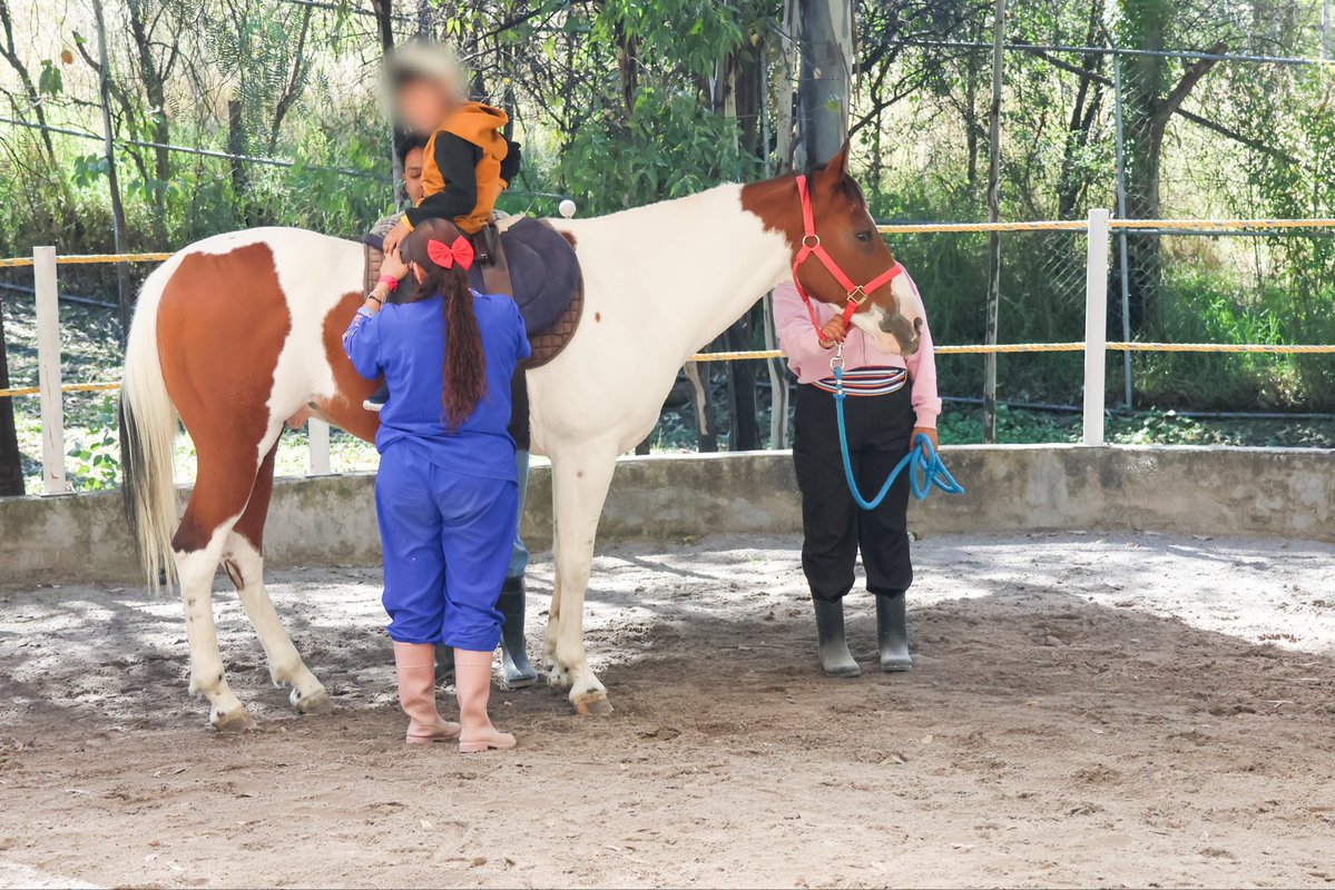 Centro Poblano de Salud Mental Integral tweet media