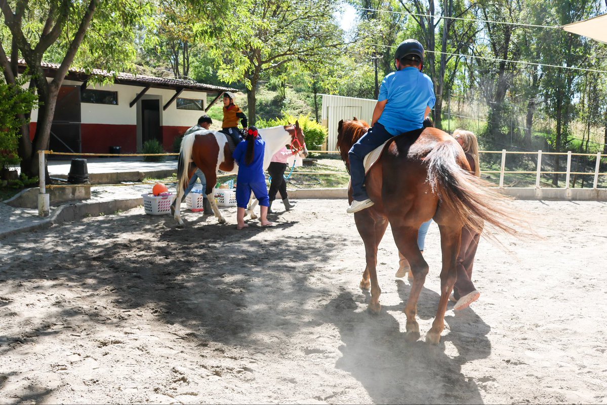 Centro Poblano de Salud Mental Integral tweet media