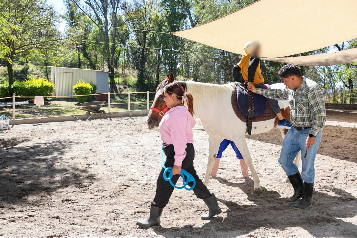 Centro Poblano de Salud Mental Integral tweet media