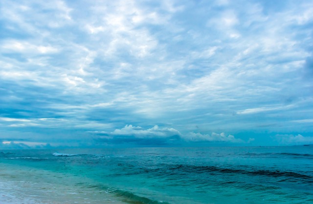 Florence Scarlett tweet media