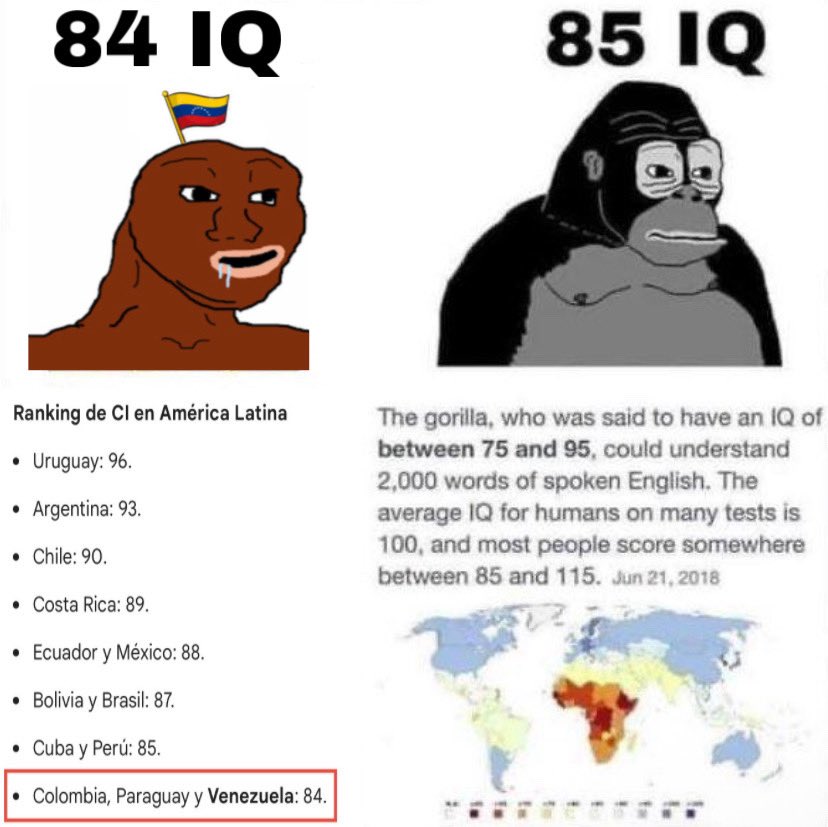 Reed Miller tweet media