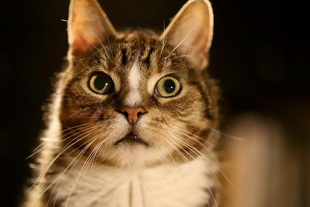 Ramona Hamilton tweet media