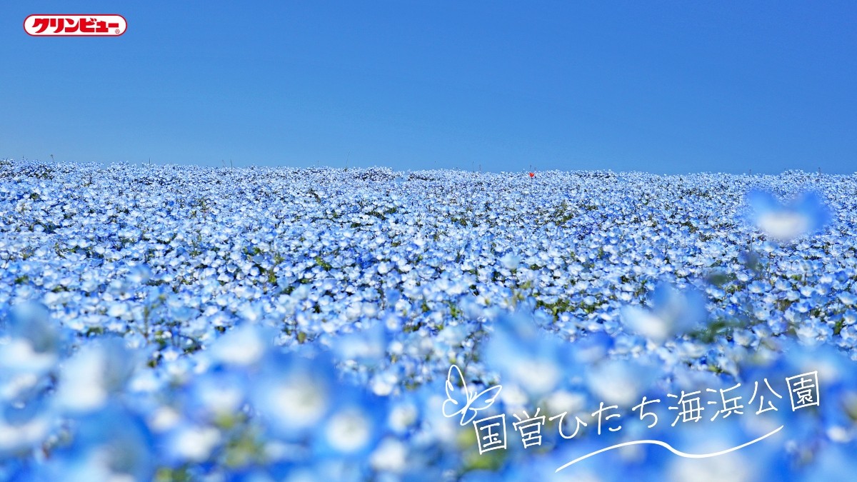 クリンビュー【公式】 tweet media
