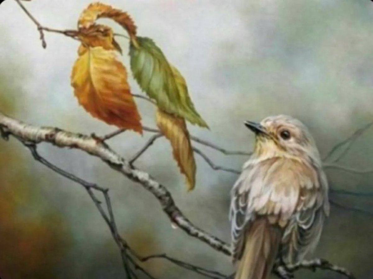 fiaz_ans's tweet image. Tawbah | توبة
Turning back from disobeying Allah to obeying him.

Sifat Salaat-in-Nabee (pp. 49-51) by Ibn Uthaimeen
#sufi #ادب #اسلام #اردو #ideolo