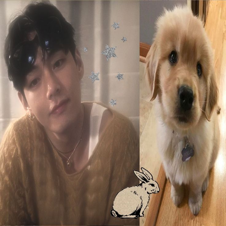 ale⁷ VA A VER A BTS CTMR 🇵🇪🇵🇪🇵🇪 tweet media