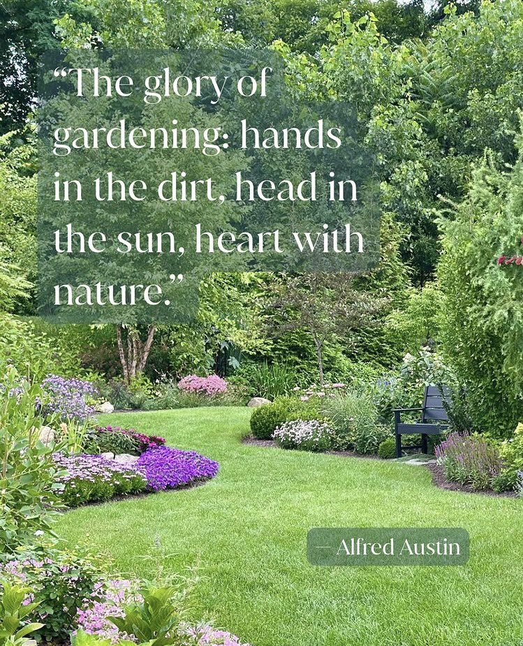 Mike Antenucci (@nuchdig) on Twitter photo 