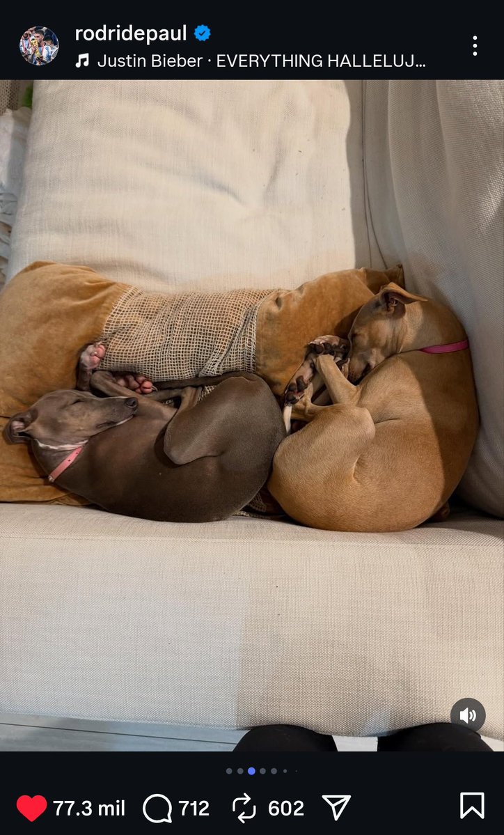 EVERYTHING HALLELUJAH 
Mi familia Hallelujah 
Mis amigos Hallelujah 
El amor Hallelujah 
Tener trabajo Hallelujah 
Estar vivos ? Hallelujah 🥹🤍 
Amar a Tini Hallelujah ✨