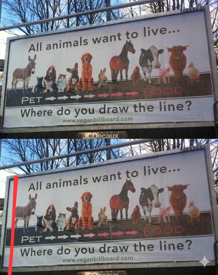 Los argentinos en este momento