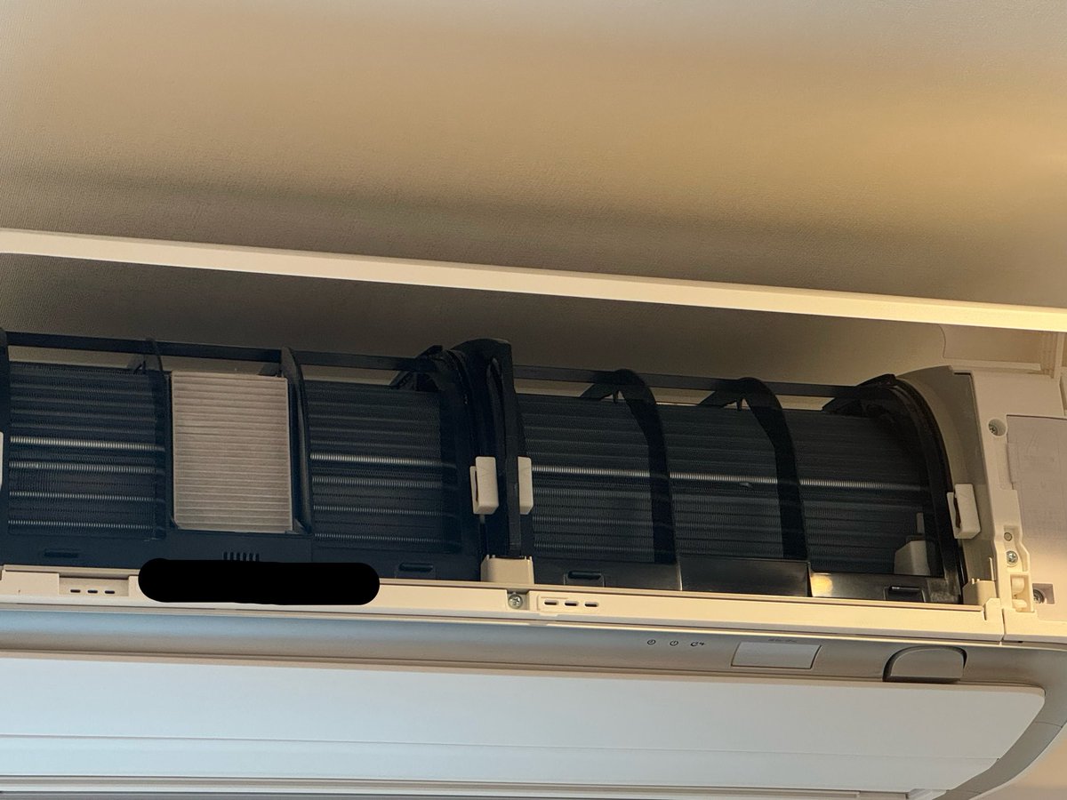 がんも🐶SUV乗り🚙💨 tweet media