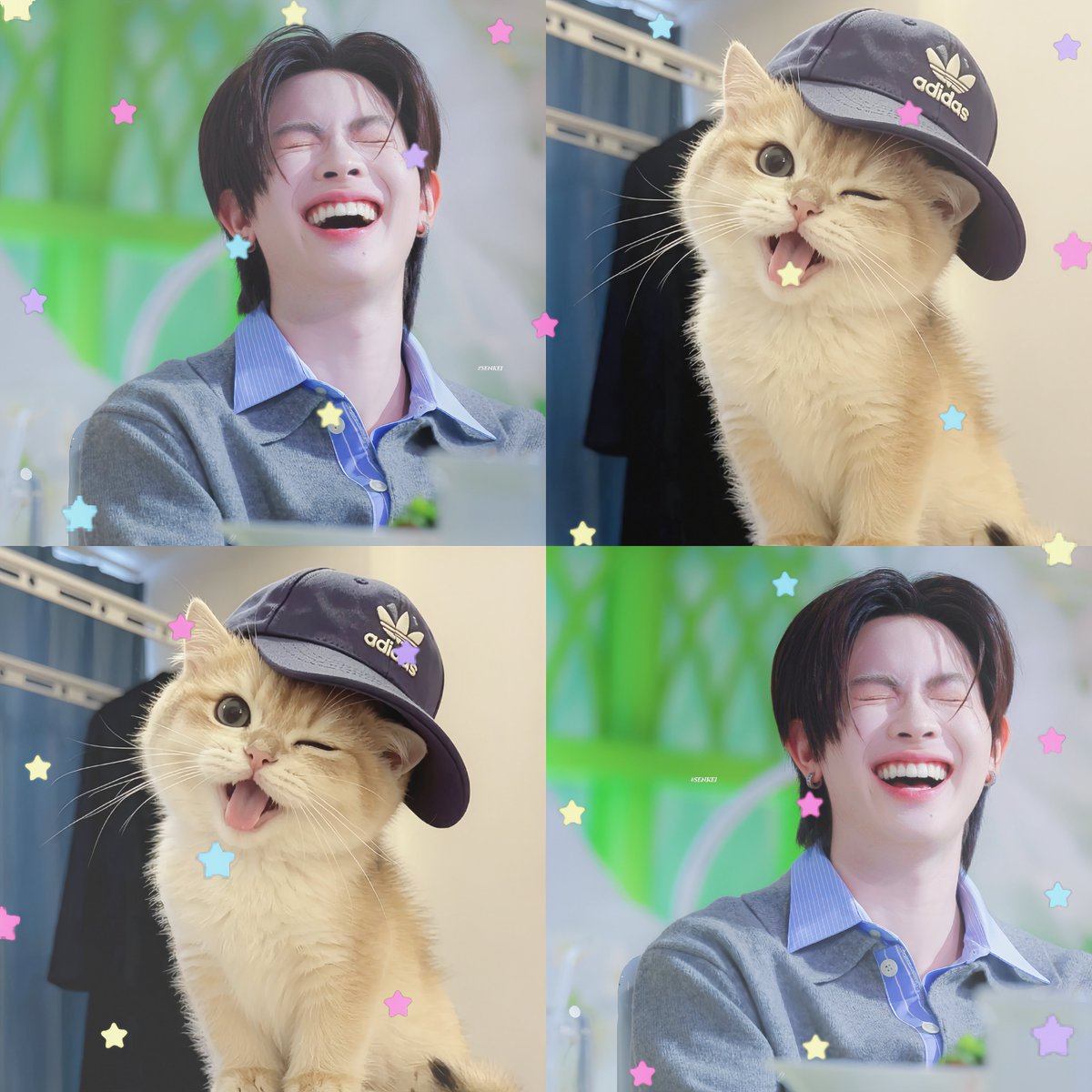 ₊˚ ꒱ ‧⁺ เมย่า_𝓜𝓪𝔂𝓪 .👑₊˚ ꒱ ‧⁺ tweet media