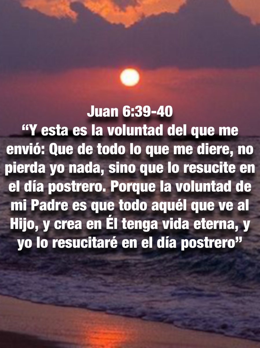 Carmen Lopez tweet media