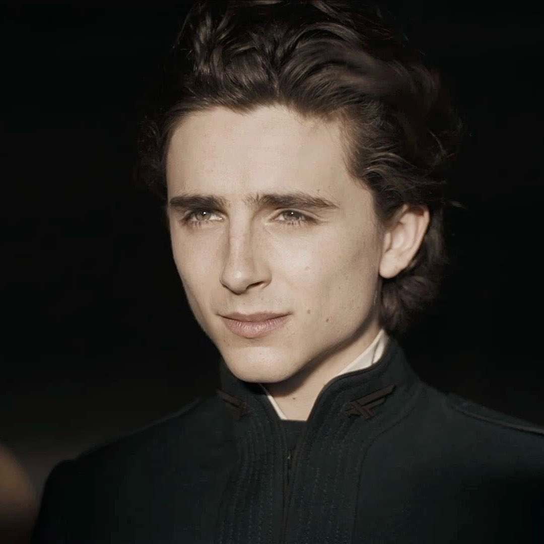cupcake atreides 🧁⋆˚୨ৎ tweet media
