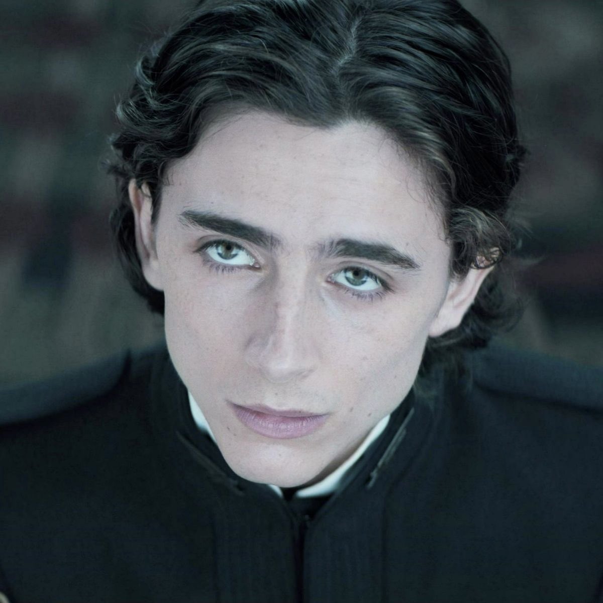 cupcake atreides 🧁⋆˚୨ৎ tweet media