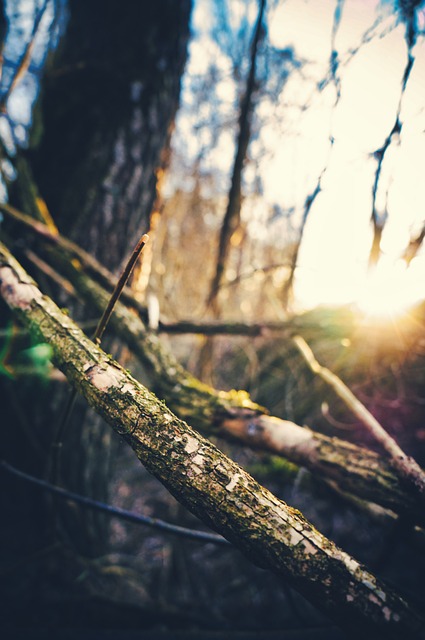 Isaac Enderson tweet media