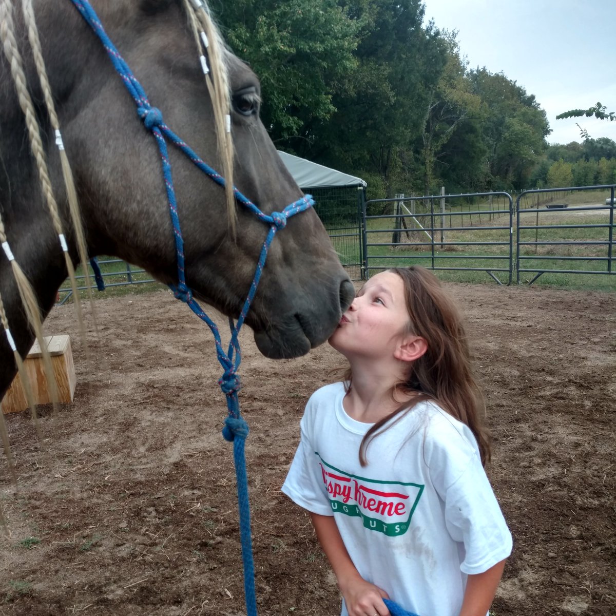 DIEGO RANCH INC 🇺🇸 tweet media