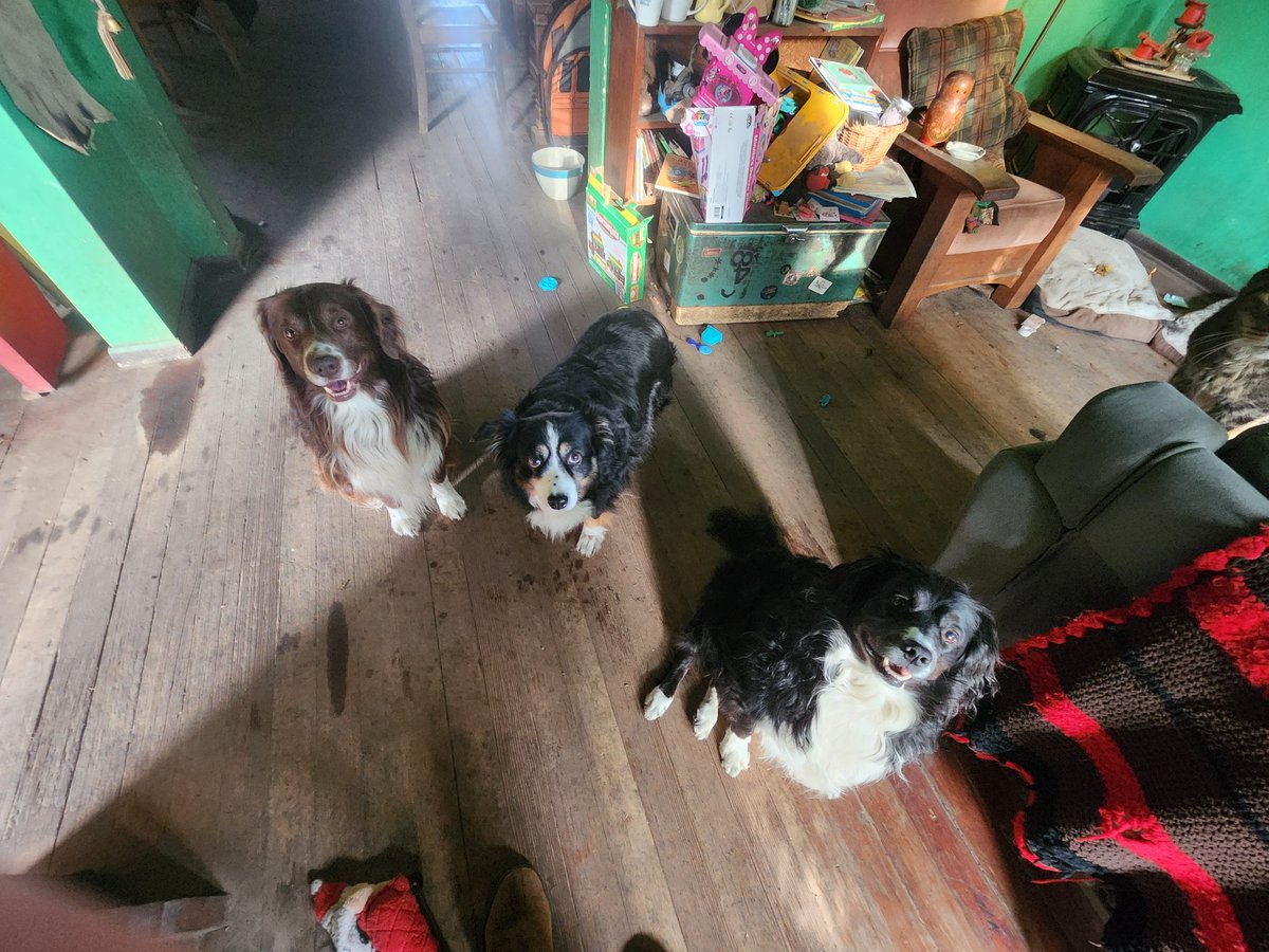 LadyBoss253 tweet media