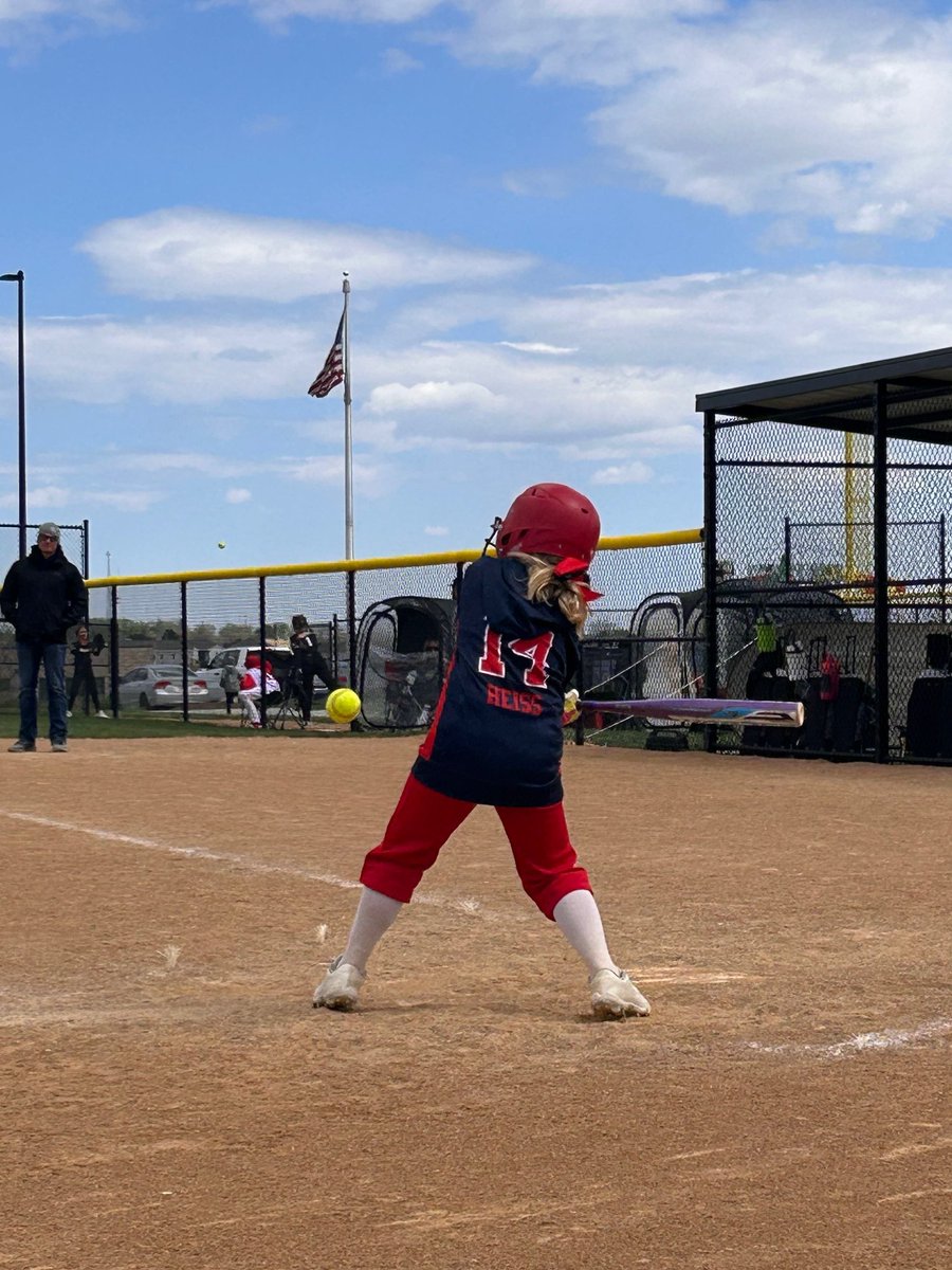 NT Softball tweet media