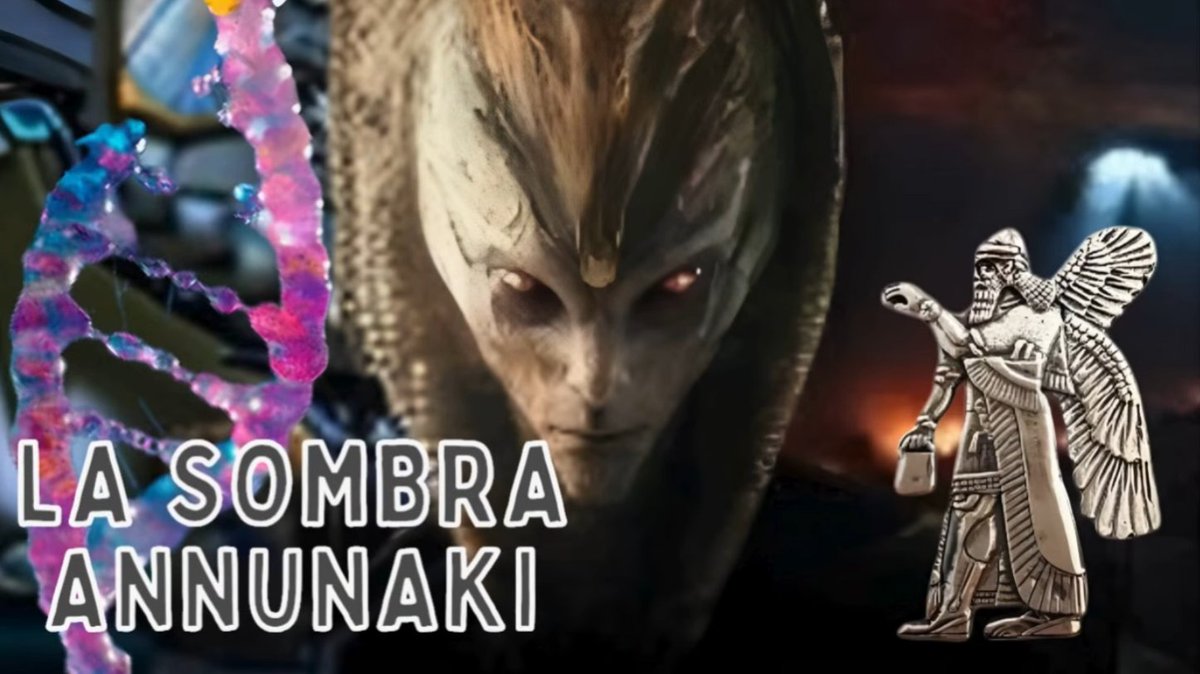 SIDDHARTA tweet media