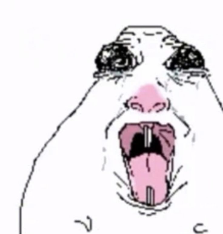 MIATA ᕙ (⇀‸↼‶) ᕗ tweet media