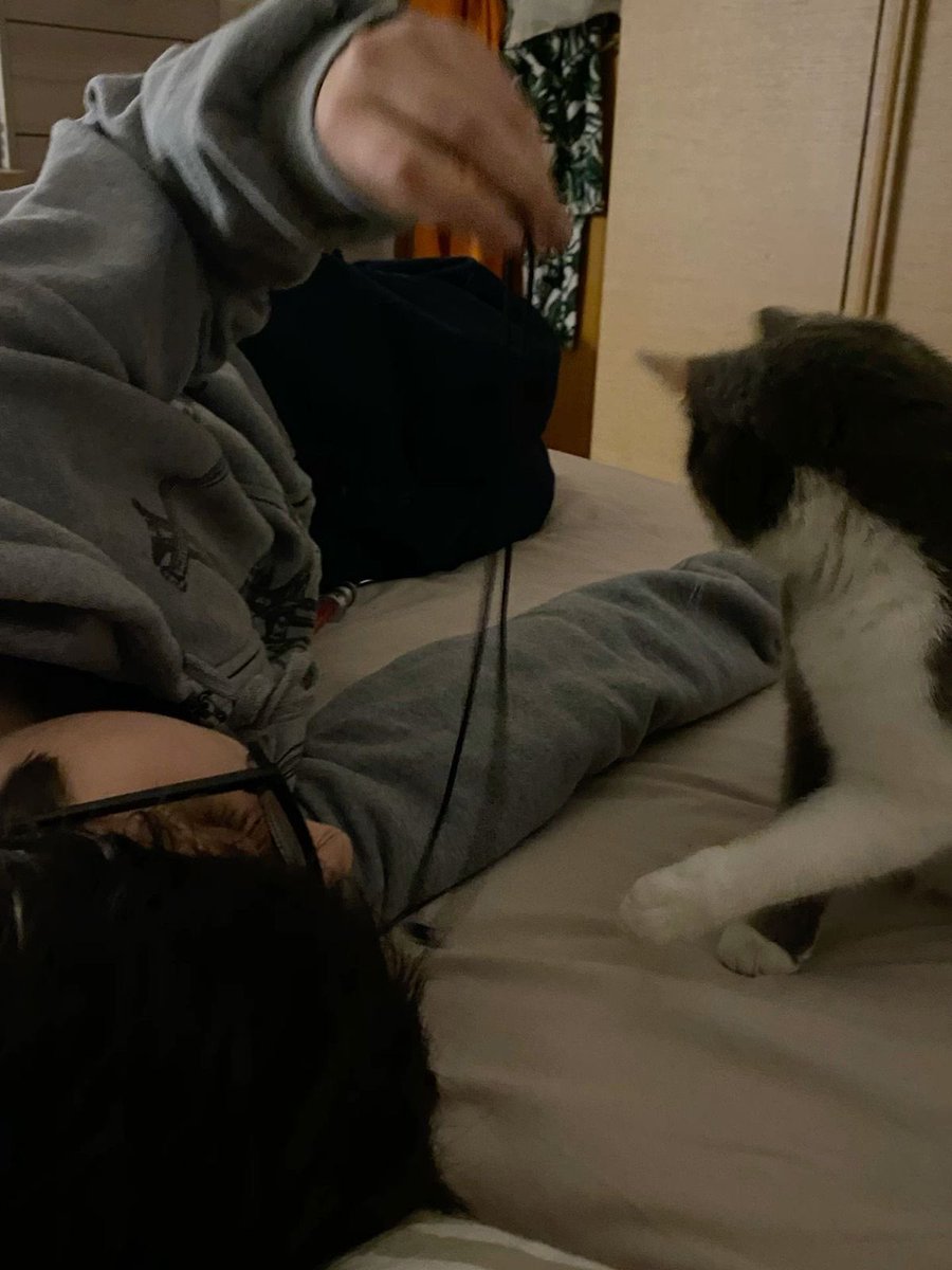 repare nos dois gatinhos brincando juntos 👇🏼:]