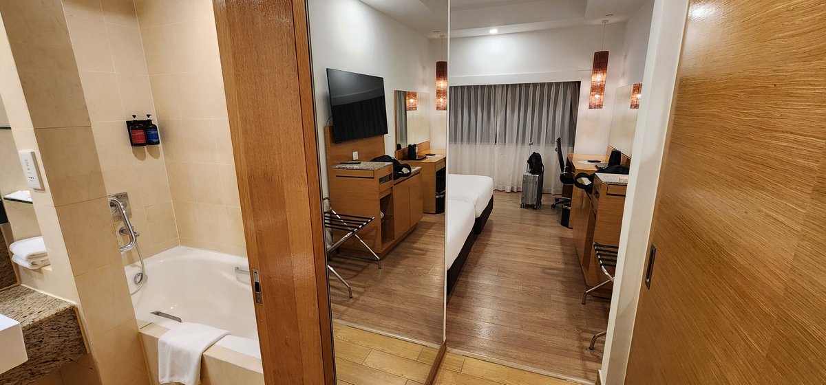 Rei Peiron 🕰️📚 Time Travelling Historian Vtuber tweet media