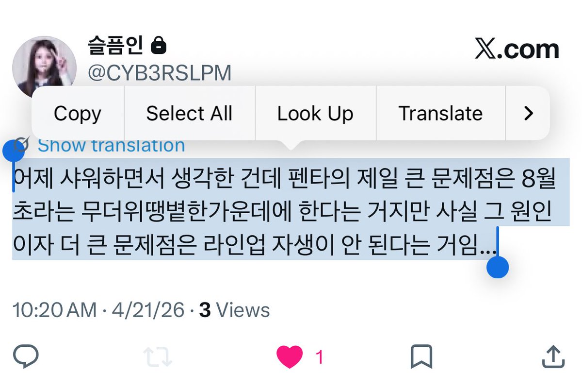 N (정상성 편입 시도 클럽) tweet media