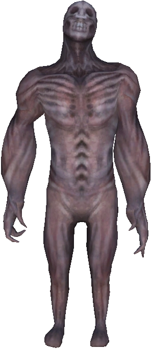 Lizard bread™ tweet media