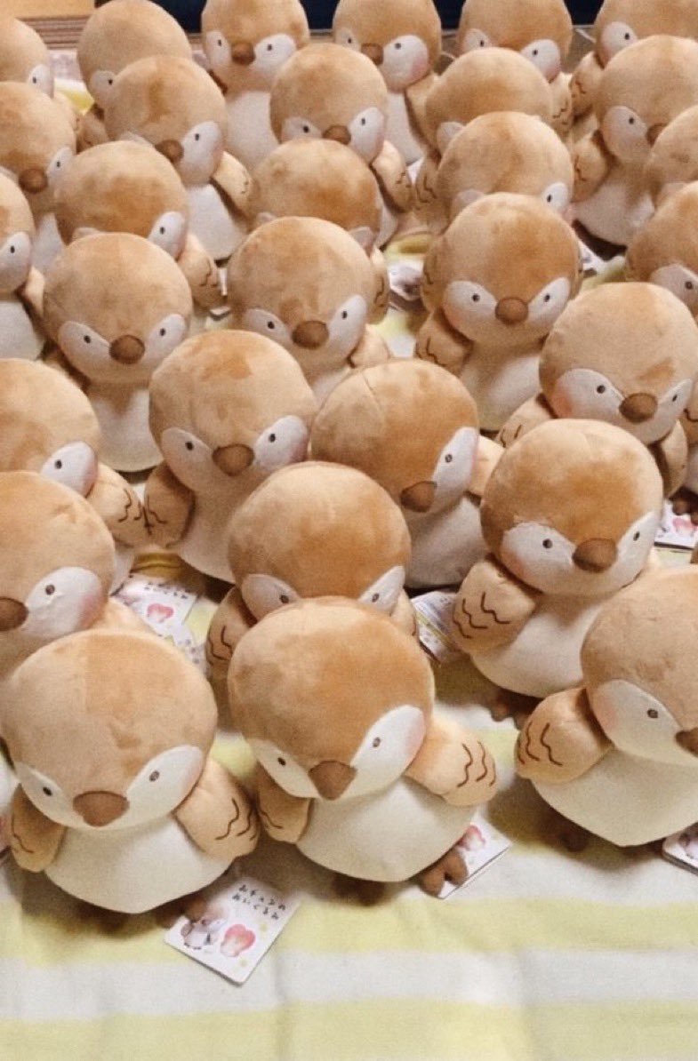 shiro(しろ) ✍︎꙳⋆ tweet media