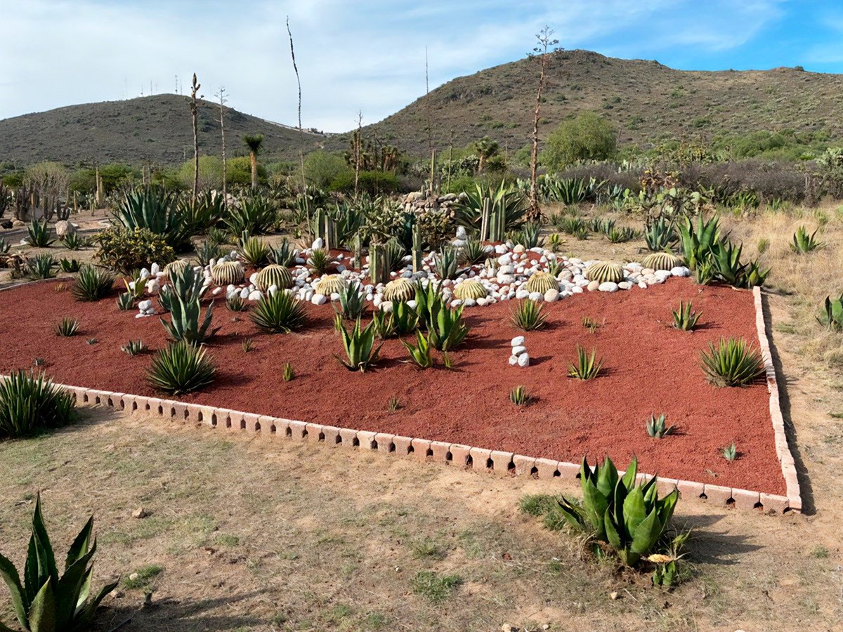 Nacho Lozano tweet media