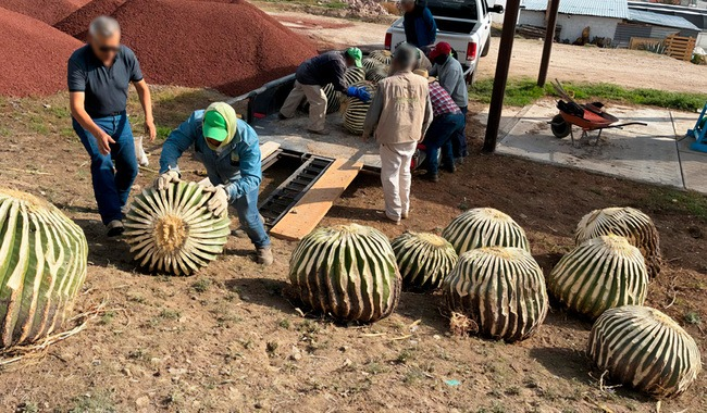 Nacho Lozano tweet media