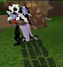 🇲🇽🍉RUDIE (Shimmerbells CEO) 🌕🐁 tweet media