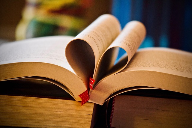 Della Hanson tweet media