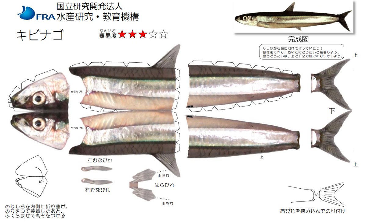 FRA　水産研究・教育機構 tweet media