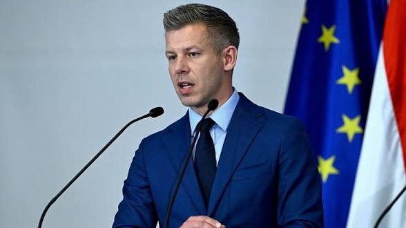 حزب تكنوقراط مصر tweet media