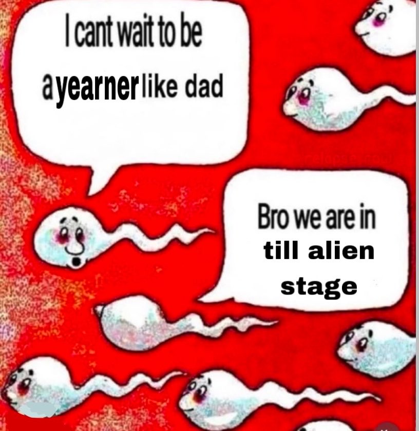 sophie ᢉ𐭩 tweet media