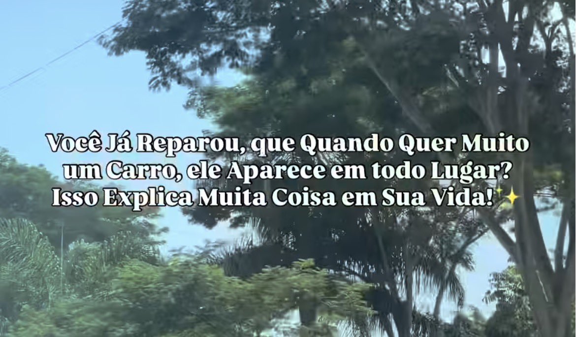 𓏲 ๋࣭ vii ໑. ✴︎ tweet media