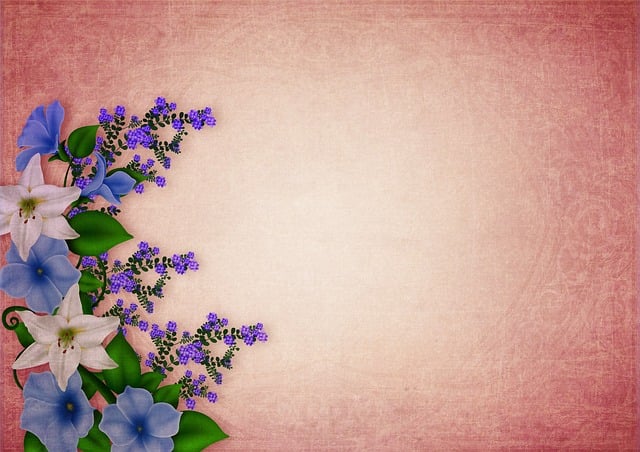 Virginia King tweet media