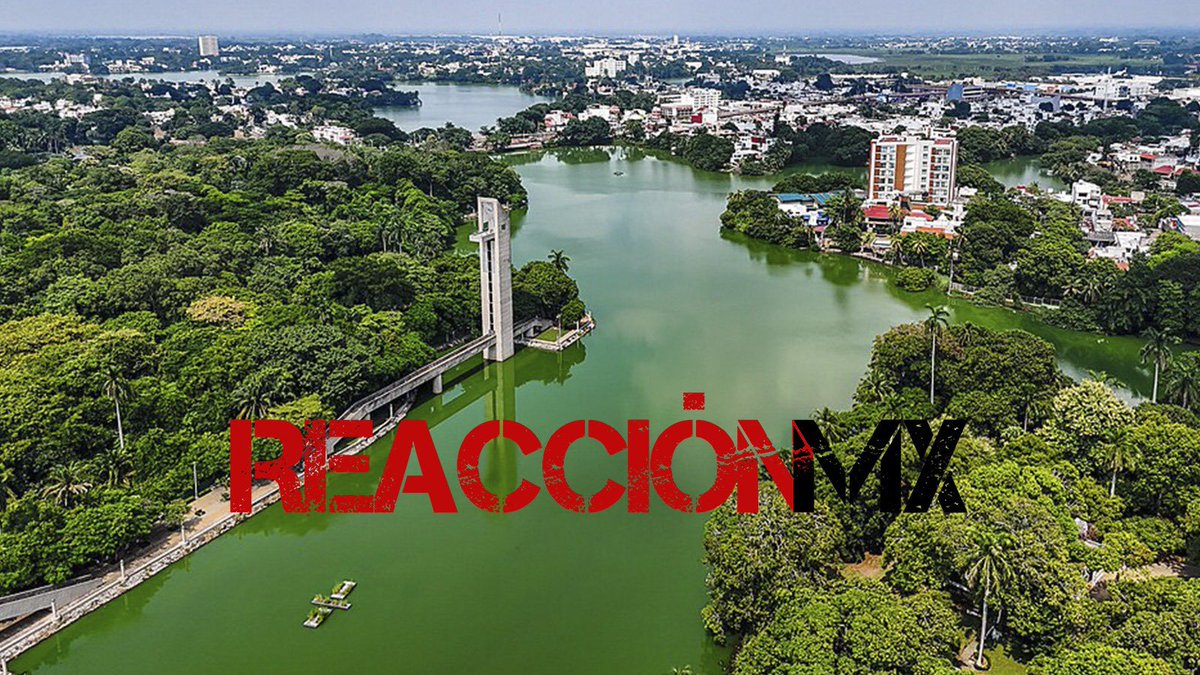 ReacciónMX tweet media