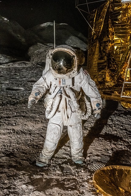 Patty Lynch tweet media