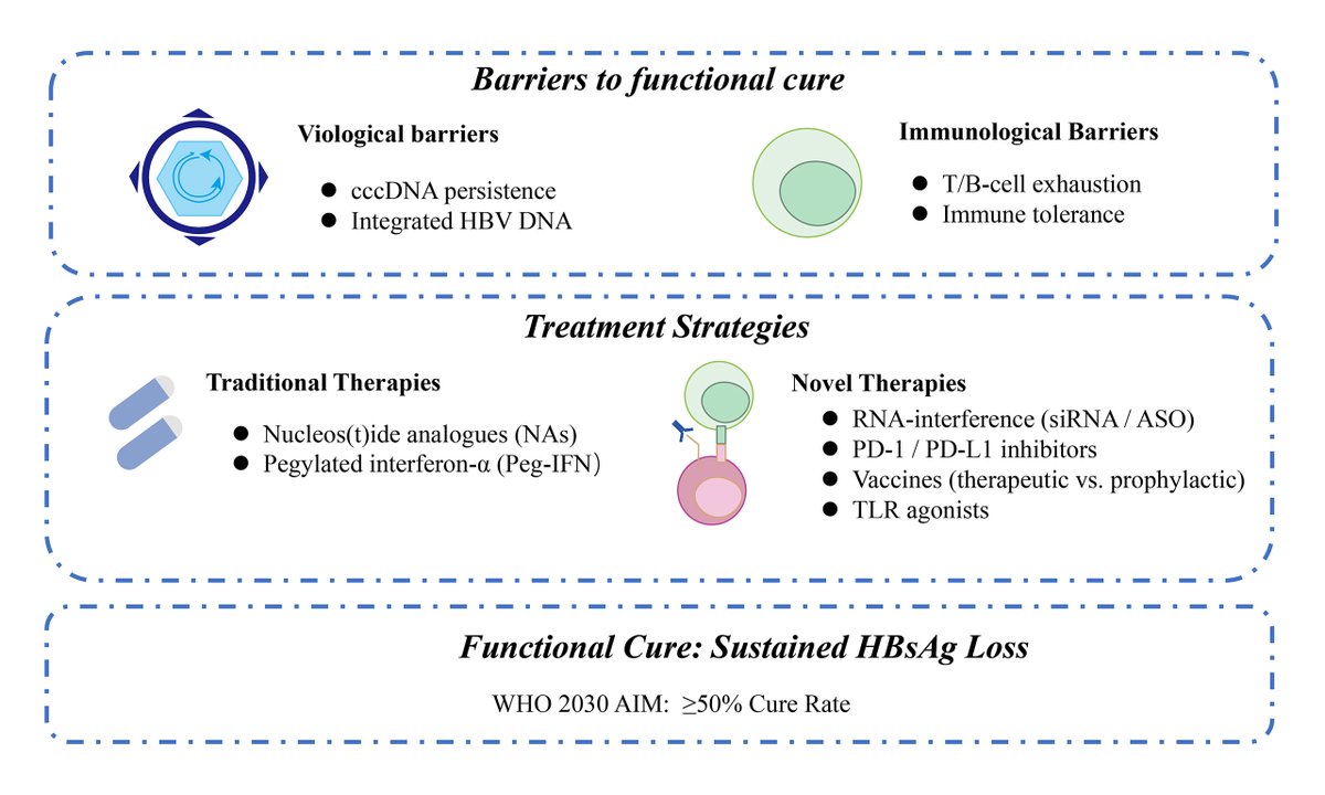 HepatomaRes's tweet image. 🧬 Functional Cure of Chronic HBV: Current Therapeutic Regimens

HBV remains a major driver of HCC worldwide. Achieving a functional cure (HBsAg loss) is now a key therapeutic goal.

🔗f.oaes.cc/xmlpdf/publish…
#HBV #HCC #HepatitisB #LiverDisease