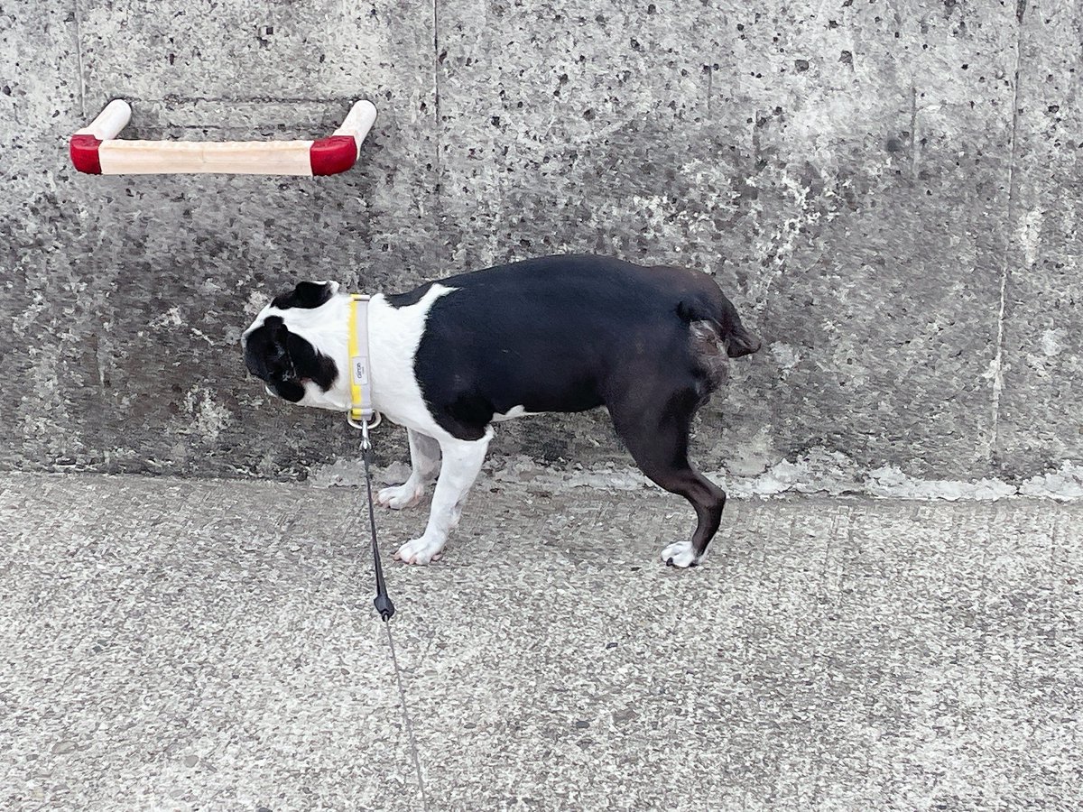 なおすけ tweet media