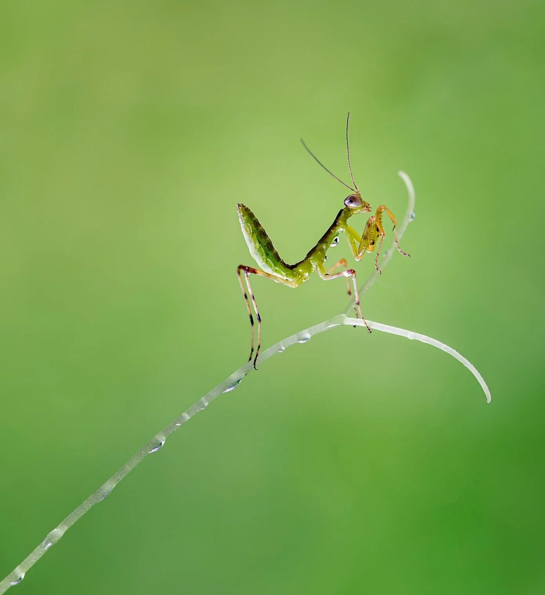 Frog（互 fo） tweet media