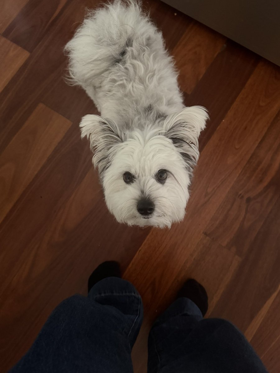 💉🩸Jordan 🔞 tweet media