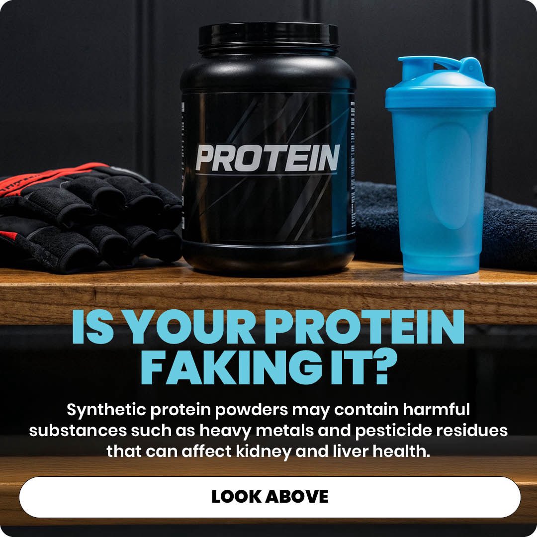 HHDigital1's tweet image. Your post-#workout #protein routine could be risking organ failure

The Indian market is flooded with toxin laden protein powders which could be easily replaced with DIY protein mix at home

happiesthealth.com/articles/weigh…