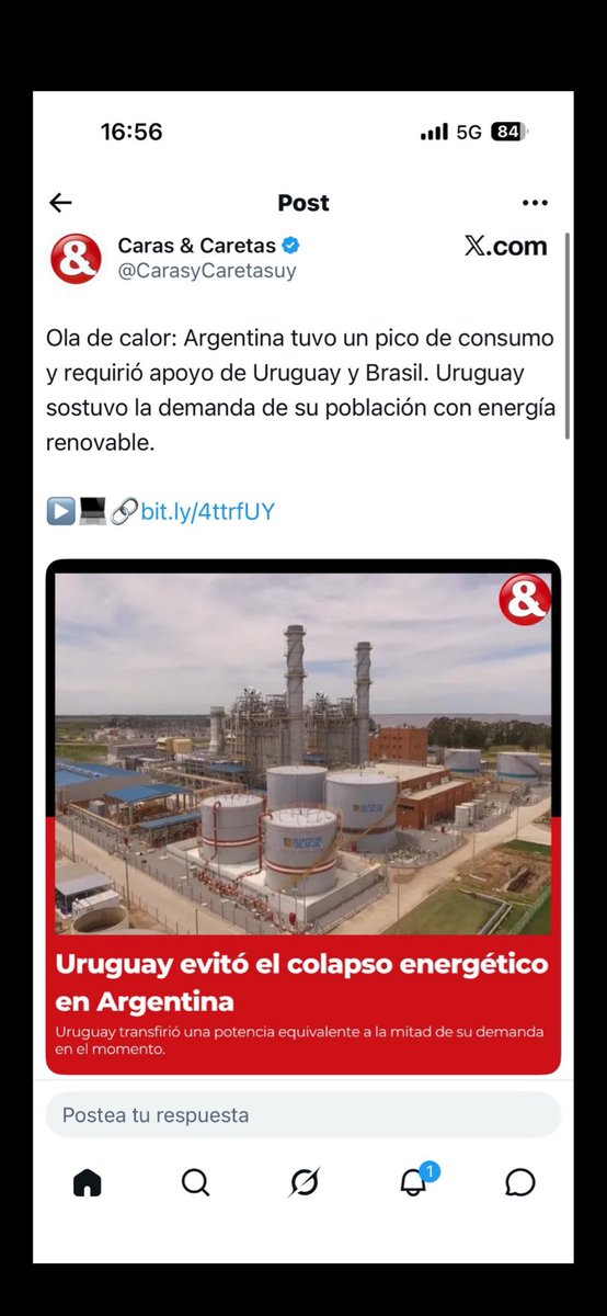 Bolsolocura4347 tweet media